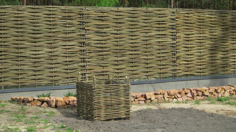 Изображение 1729.jpg