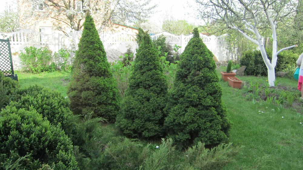 Изображение 1744.jpg