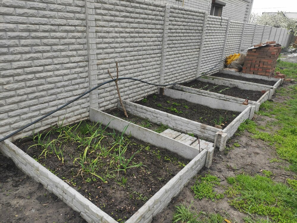 грядки 2.jpg