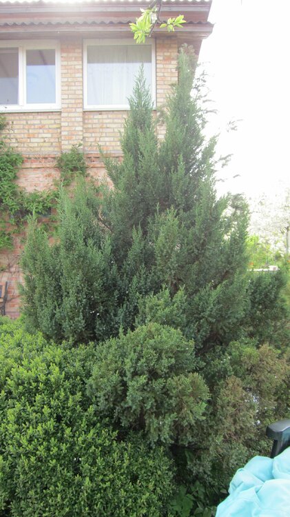 Изображение 1742.jpg