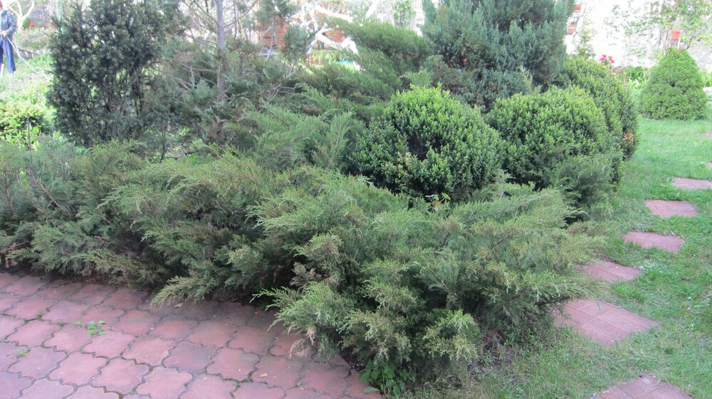 Изображение 1743.jpg