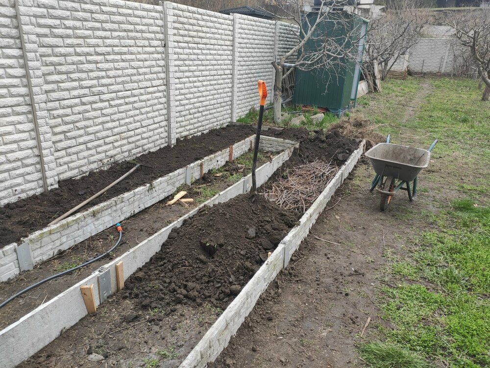 грядки 3.jpg