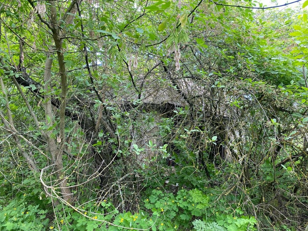 photo_5330409819041029103_y (1).jpg