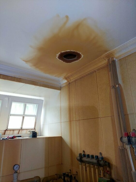 Ой, що це було.jpg