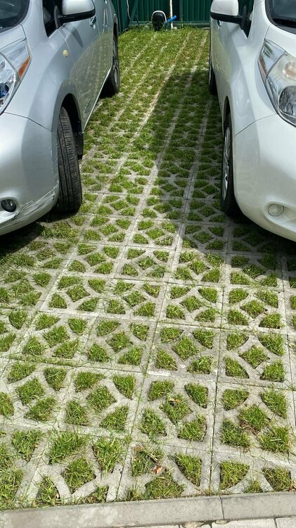 Зображення WhatsApp, дата_ 2024-06-08 о 14.22.56_940802b9.jpg