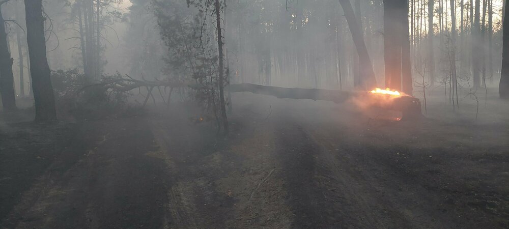 20240916_191753 (1).jpg