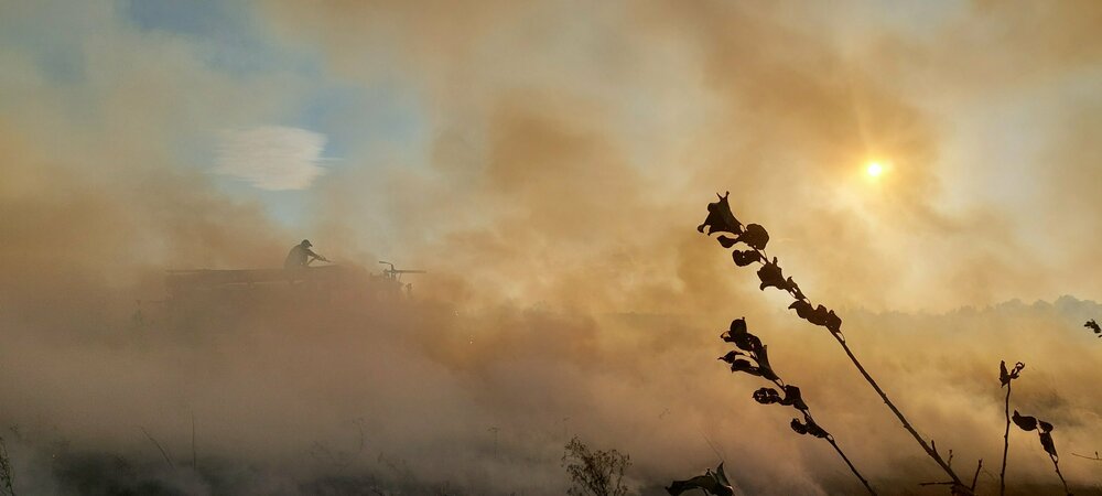 20240928_080000 (1).jpg