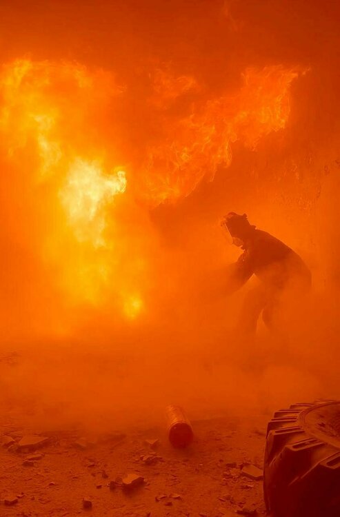 Trainings 2024 2.jpg