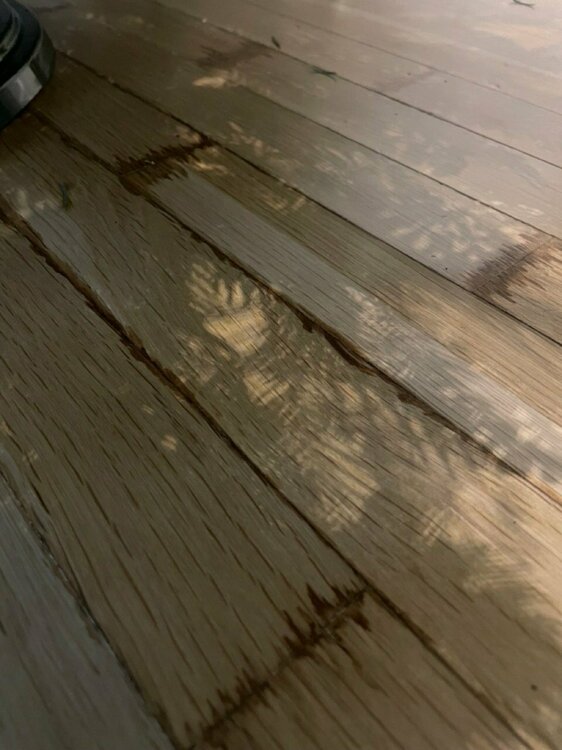 IMG_1990 — велике.jpeg