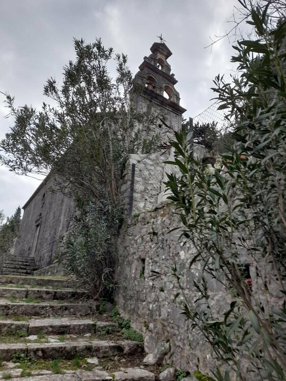 Зображення WhatsApp, дата_ 2025-01-06 о 08.52.32_724e013e.jpg