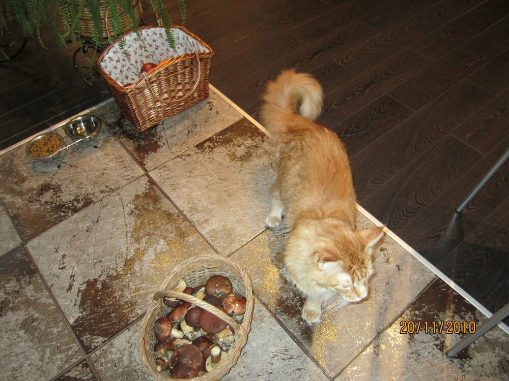 Изображение 886.jpg