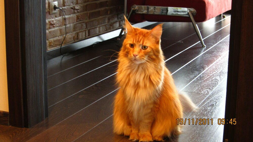 Изображение 1063.jpg