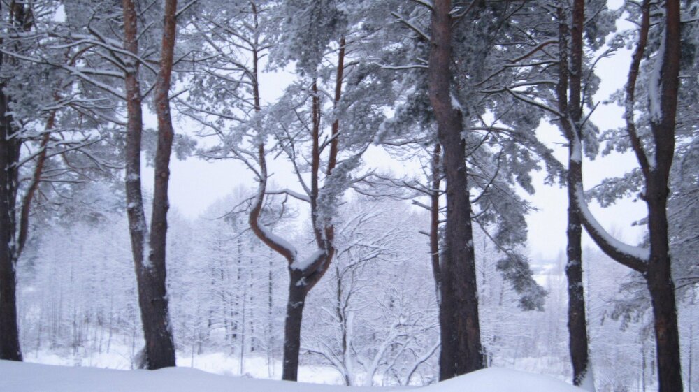 Изображение 1418.jpg