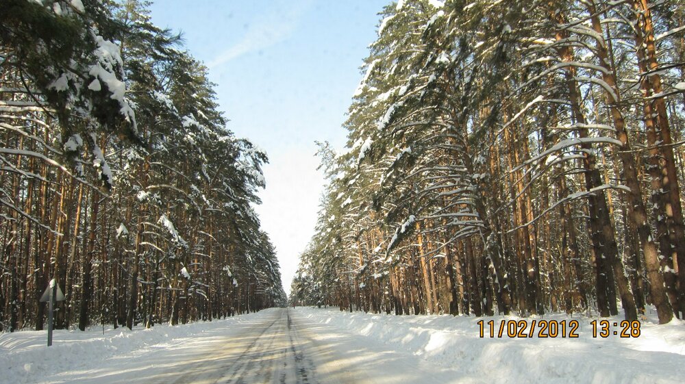 Изображение 384.jpg