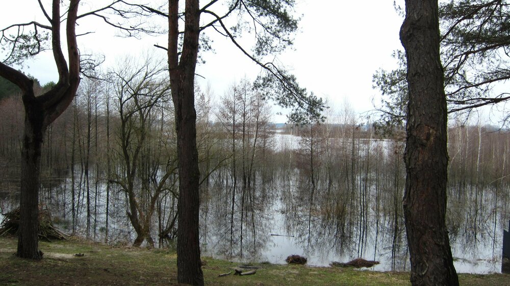 Изображение 1555.jpg