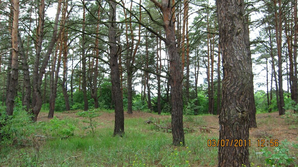 Изображение 030.jpg