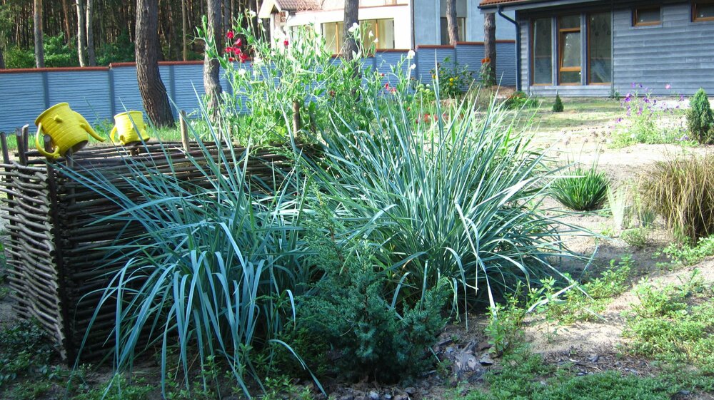 Изображение 1885.jpg