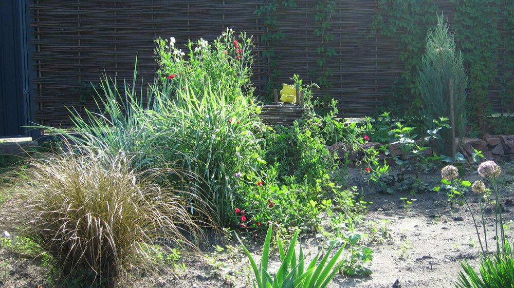 Изображение 1886.jpg