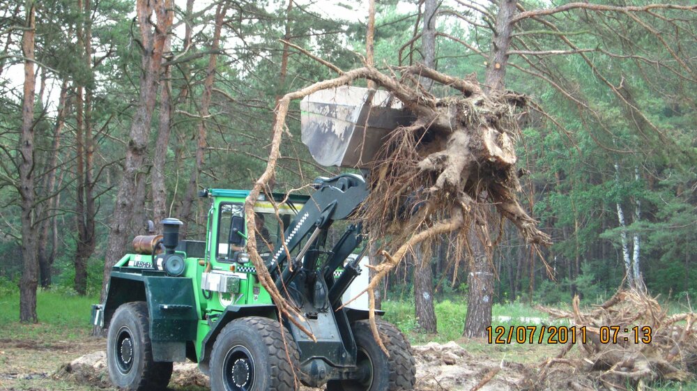 Изображение 141.jpg