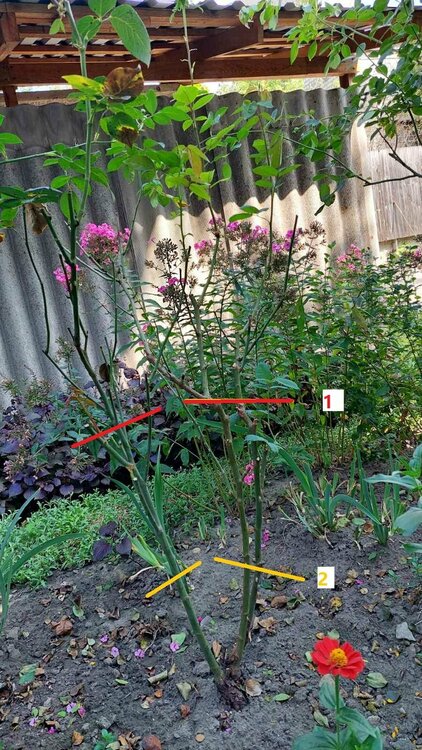 зображення_viber_2025-09-08_12-38-12-901 -1.jpg