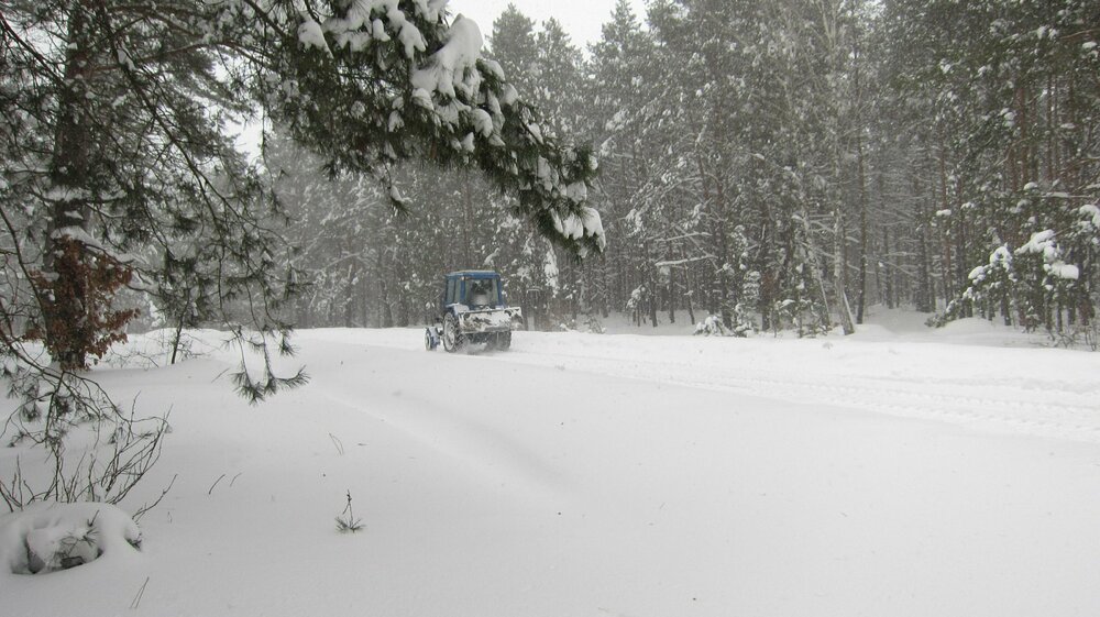 Изображение 1550.jpg