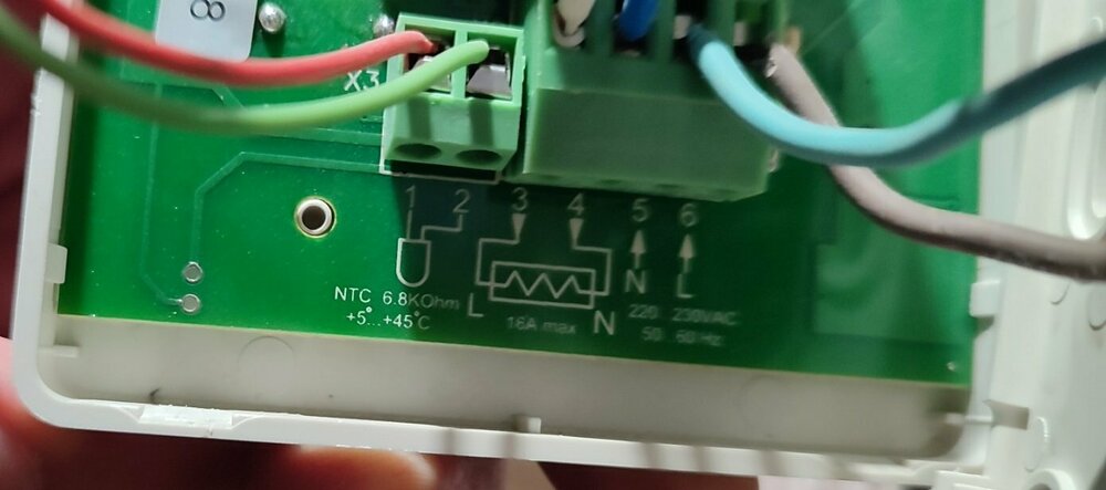 Ліда Гонти 11.2025.jpg