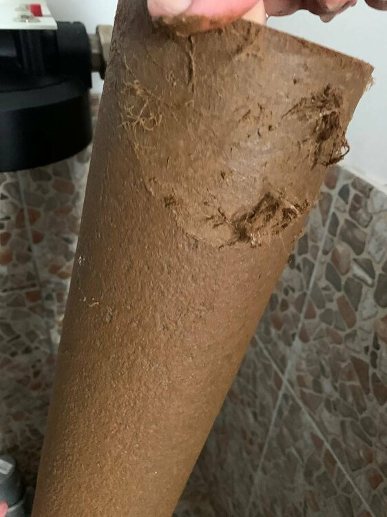 IMAGE 2026-01-03 12:21:04.jpg