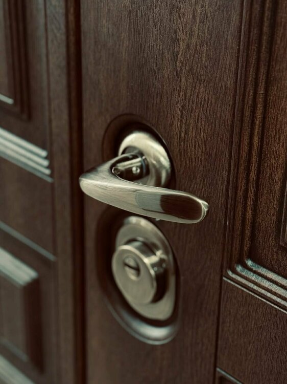 kupit_dveri_vkhodnyye (10).jpg