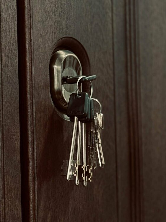 kupit_dveri_vkhodnyye (12).jpg