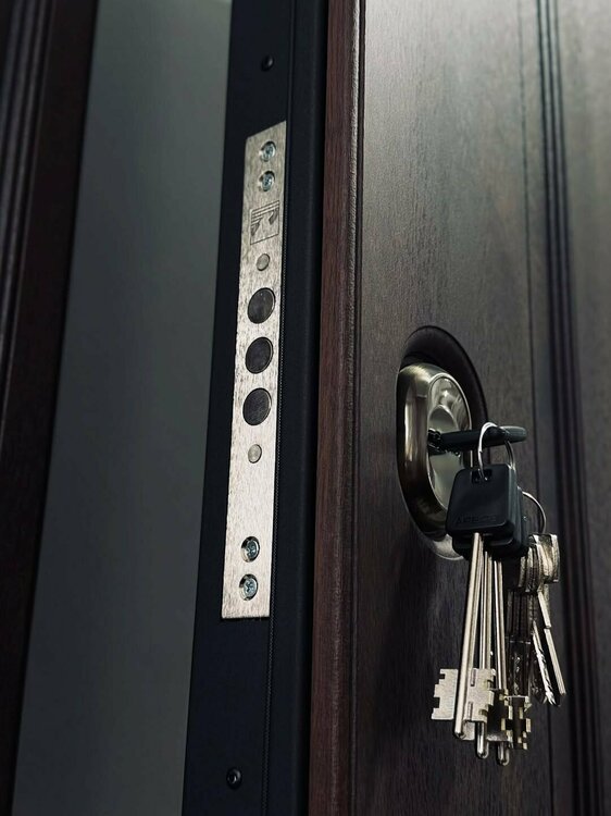 kupit_dveri_vkhodnyye (11).jpg