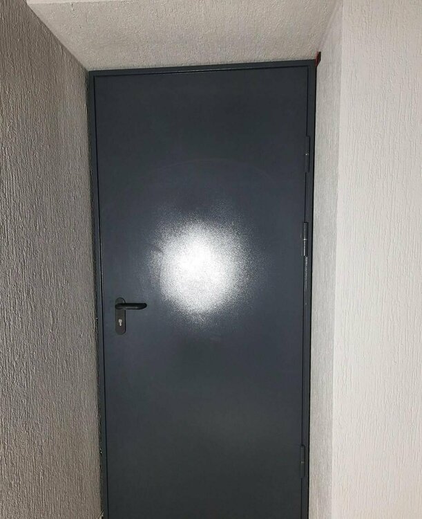 protivopojarnie-dveri (4).jpg