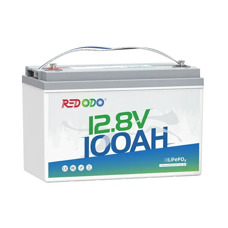 Redodo-12V-100Ah-LiFePO4-Lithium-Batterie_e6f40a72-5c33-4ab3-945a-cc1178c6ca59.jpg