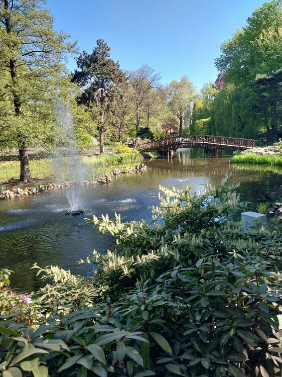 20260503_094846.jpg