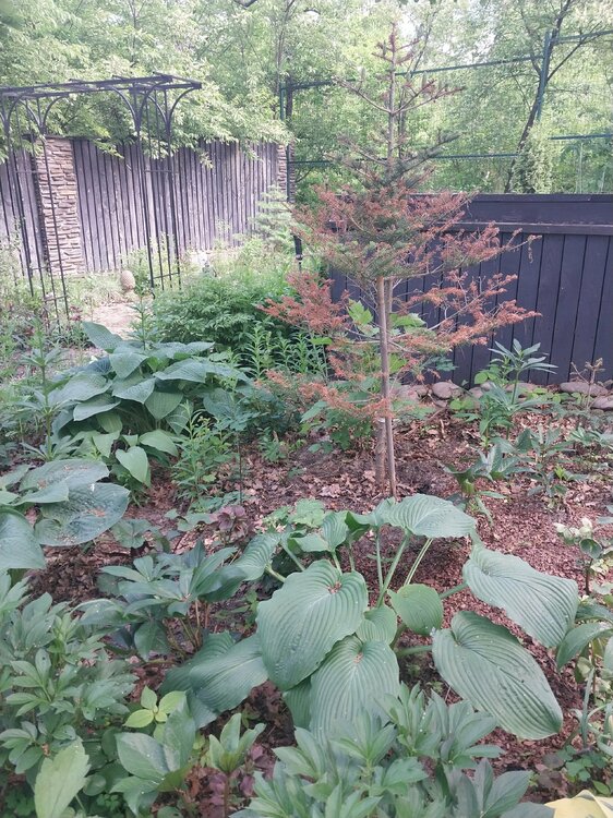 20260529_122749.jpg