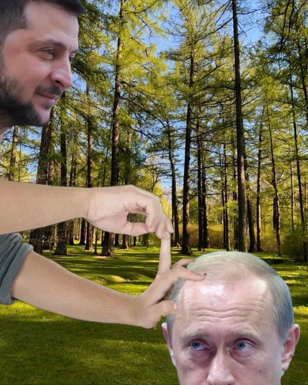 685899146_3274948402666042_4923104814703122262_n.thumb.jpg.658792bf1b8d443556d5bfd6b6473787.jpg