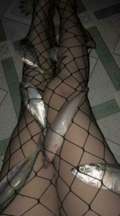FB_IMG_1550809608992.jpg