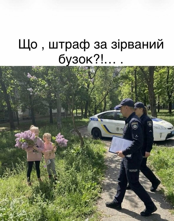 FB_IMG_1778473823640.jpg