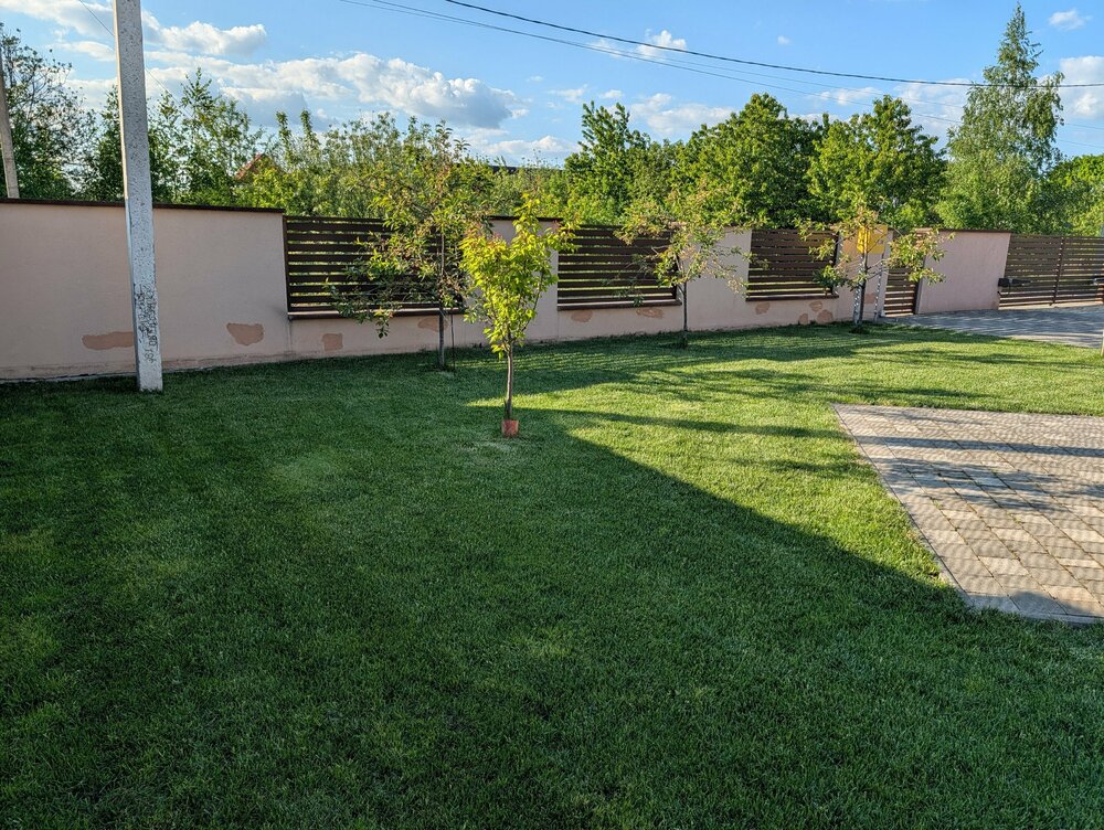 PXL_20260517_153208045.jpg