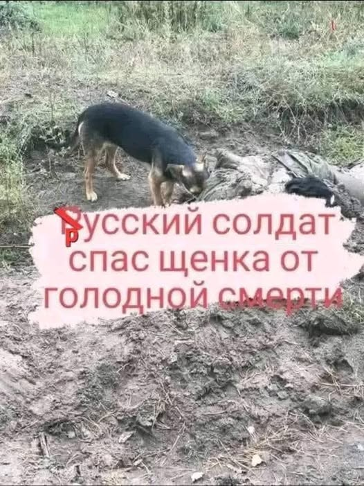 image.png.31e363a23fd8aaa471f6c40e6c85976f.png