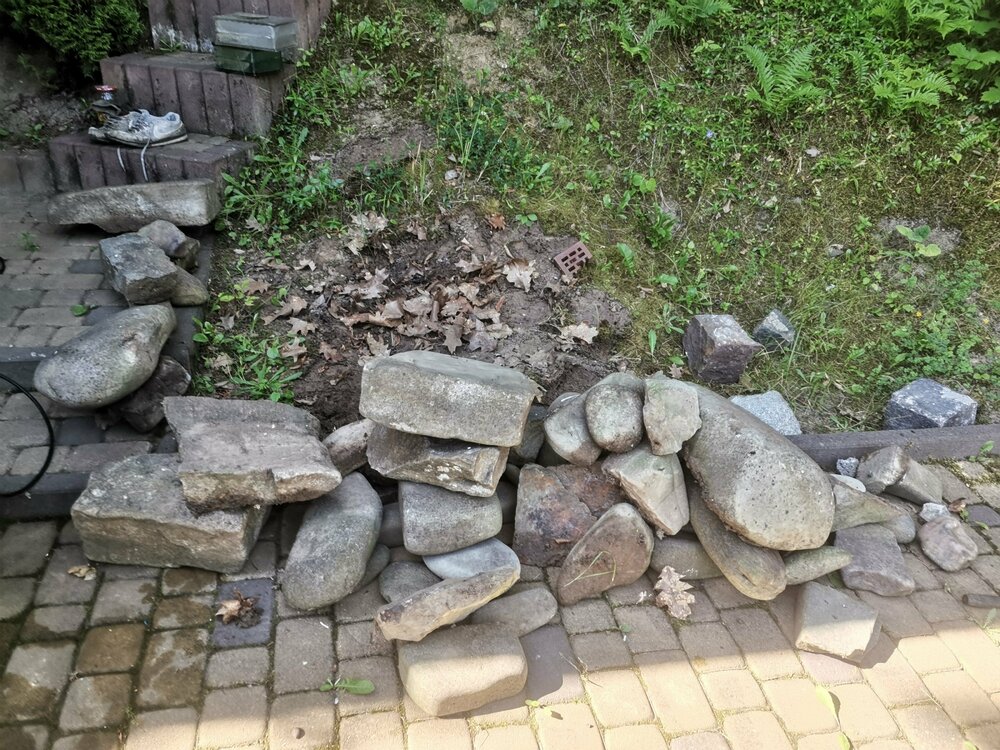 IMG_20260609_093411.jpg