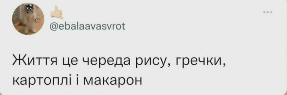 sy8rfiwpy06h1.jpeg