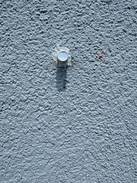 IMG_8522.thumb.jpeg.b60c401265efbbcda08704d089c154ca.jpeg