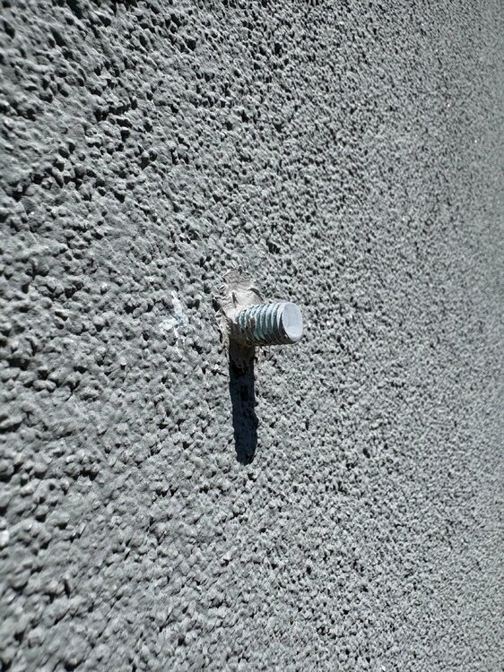 IMG_8524.thumb.jpeg.96cfaa3b48a40c6d552a30e4410ee587.jpeg