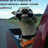 Egor_mih