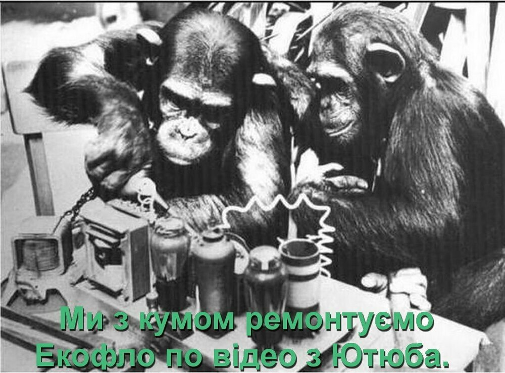 1789233320_.thumb.jpg.edf78e96a2d89db888324a0fdcbc28a3.jpg