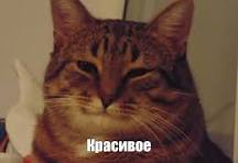 image.png.ae9e2595a0bec283f161771412469e5e.png